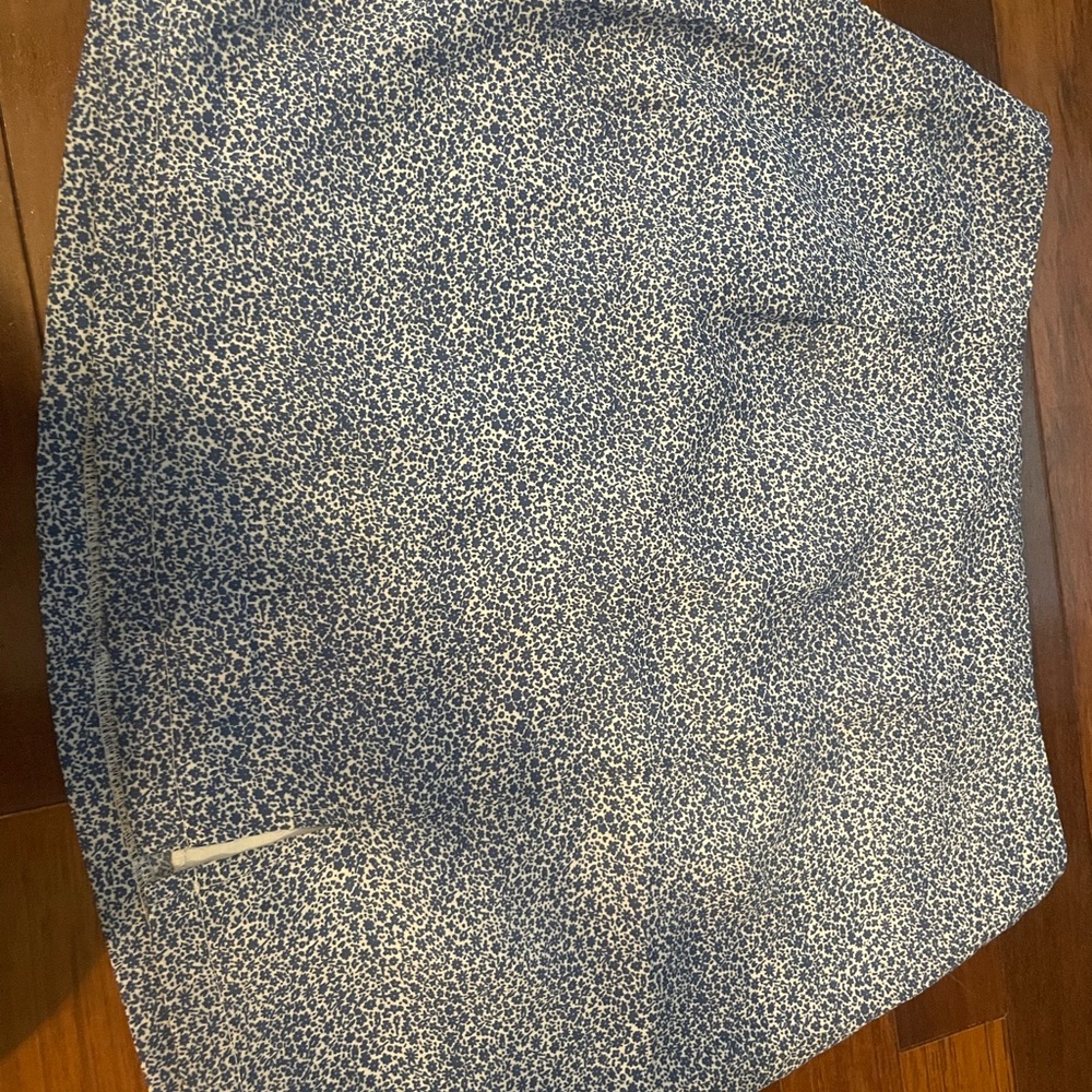 Francesca's Collections Blue and White Mini Skirt